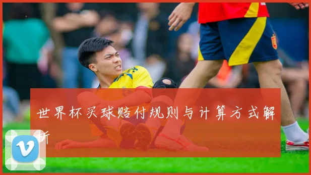 世界杯买球赔付规则与计算方式解析