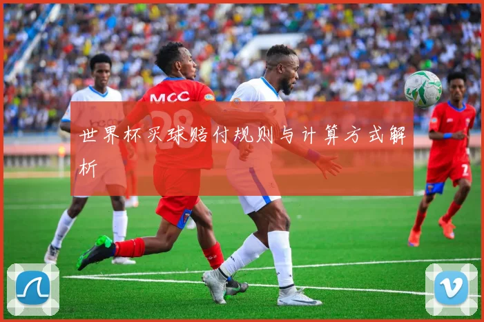 世界杯买球赔付规则与计算方式解析