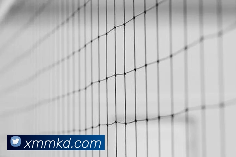 买球官方品牌故事